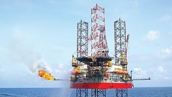 PV Drilling đạt 52,3 tỷ đồng lợi nhuận sau thuế trong quý I/2023