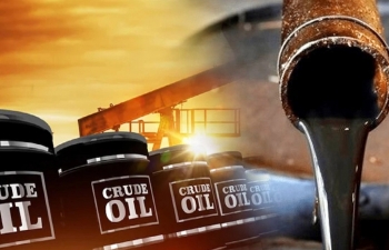 Dầu giá rẻ của Nga đẩy tỷ trọng nhập khẩu dầu từ OPEC của Ấn Độ xuống thấp kỷ lục