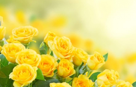 Tử vi ngày 14/6/2023: Tuổi Sửu không nên ganh đua, tuổi Tuất may mắn hơn người