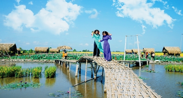 Xúc tiến đầu tư bất động sản trong du lịch nông nghiệp Việt Nam