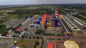 [PetroTimesMedia] Phân bón Cà Mau đồng hành gia tăng lợi ích nhà nông