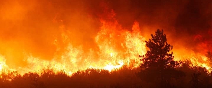 Cháy rừng khiến xuất khẩu dầu và khí của Canada sụt giảm nghiêm trọng