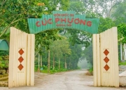 Khám phá những bí ẩn rừng nguyên sinh tại bảo tàng Cúc Phương