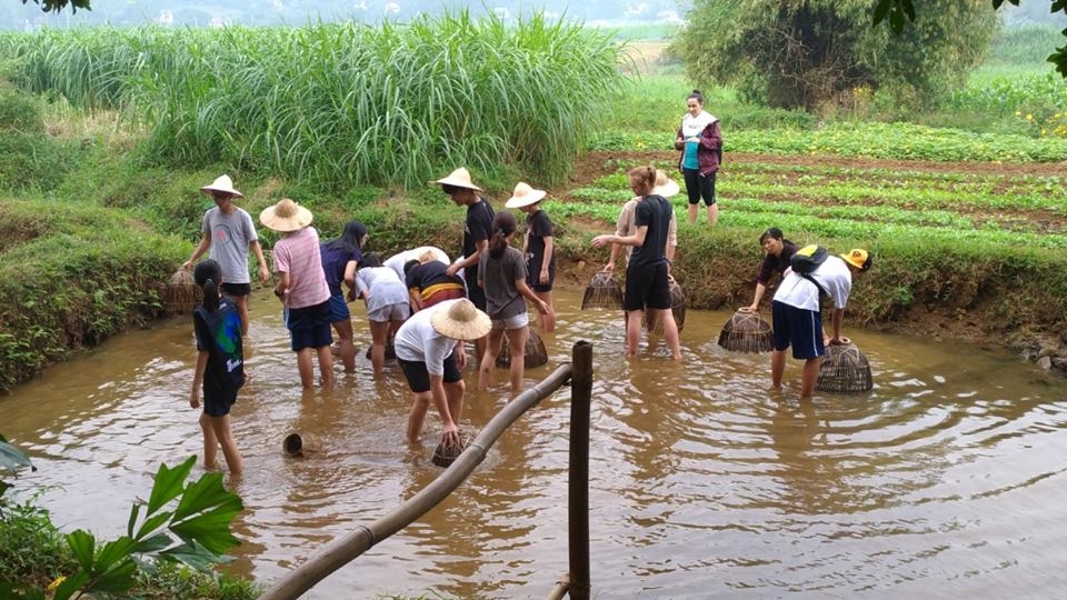 Gia tăng giá trị vùng đất bằng phát triển du lịch nông nghiệp, nông thôn