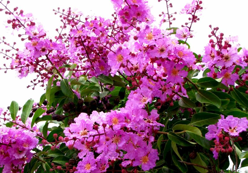 Thời tiết ngày 18/5/2023: Nhiệt độ ở Bắc Bộ tăng cao hơn
