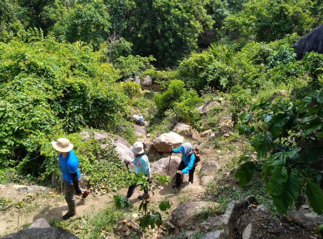 Hành trình 