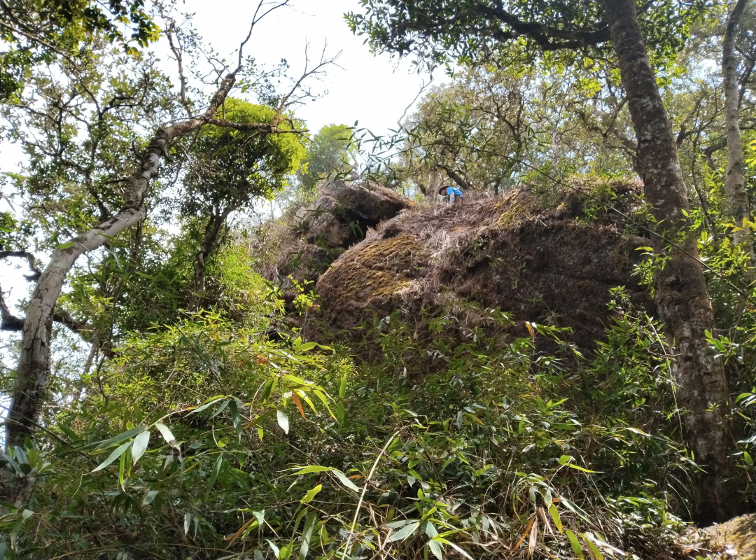 Hành trình 