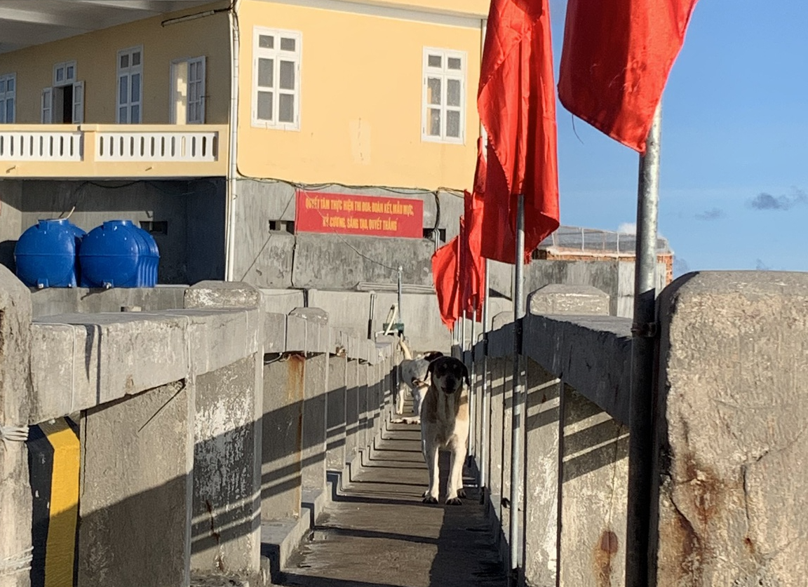 Những 