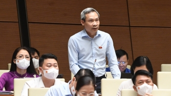 Chính phủ bảo lưu quan điểm về phạm vi áp dụng đấu thầu đối với DNNN