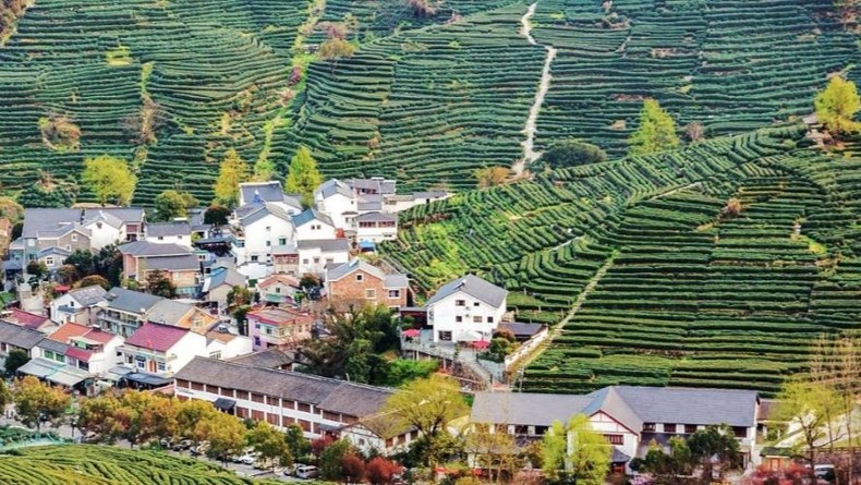 5 điểm đến hấp dẫn cho Ngày Quốc tế Trà