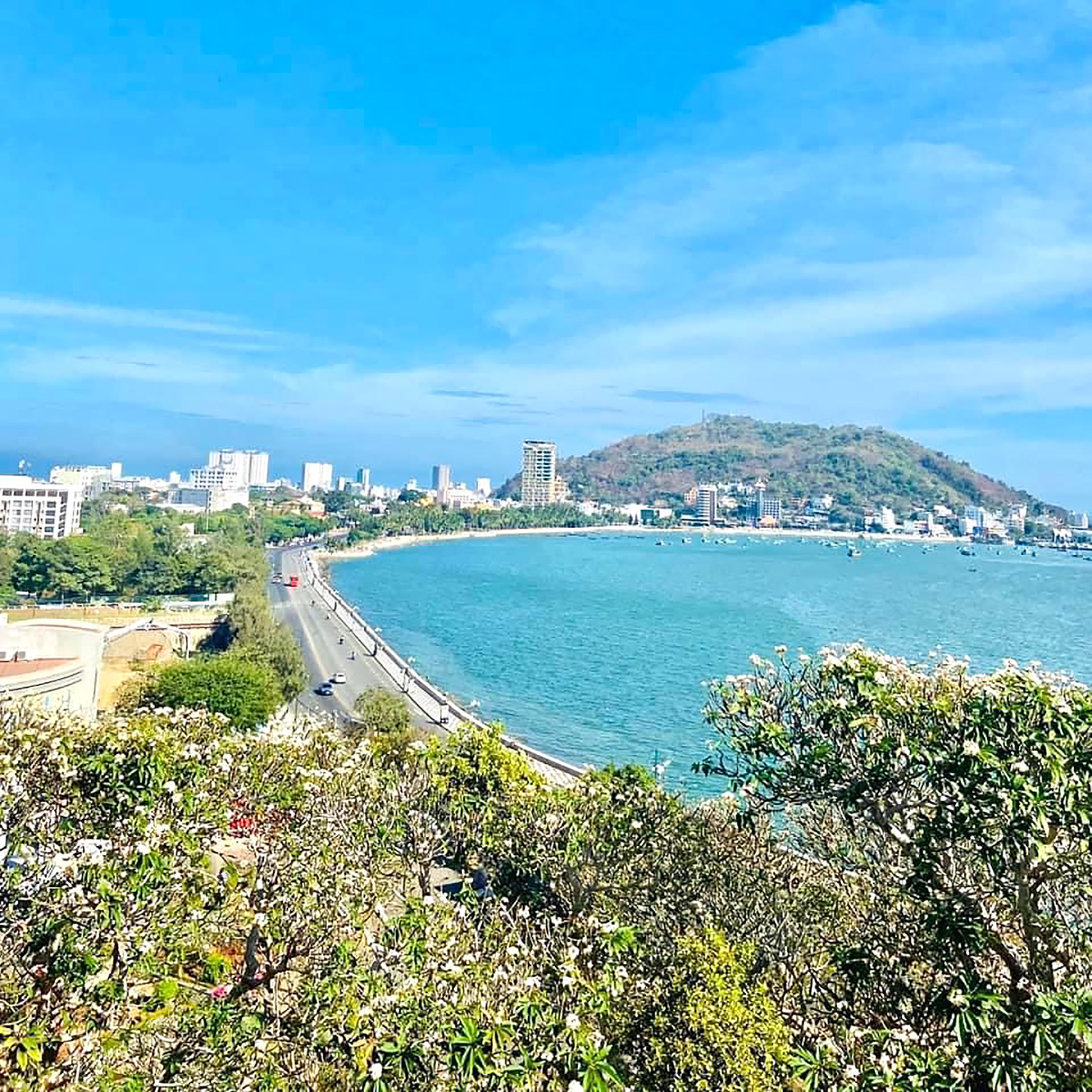 Ngạt ngào hoa sứ