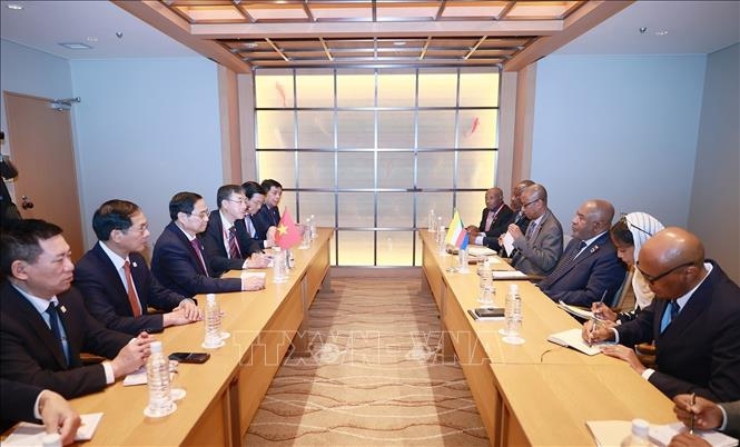 Thủ tướng Phạm Minh Chính hội kiến Ngài Azali Assoumani, Tổng thống Liên bang Comoros. Ảnh: Dương Giang/TTXVN
