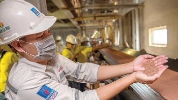 Phân bón Việt chịu “tác động kép”