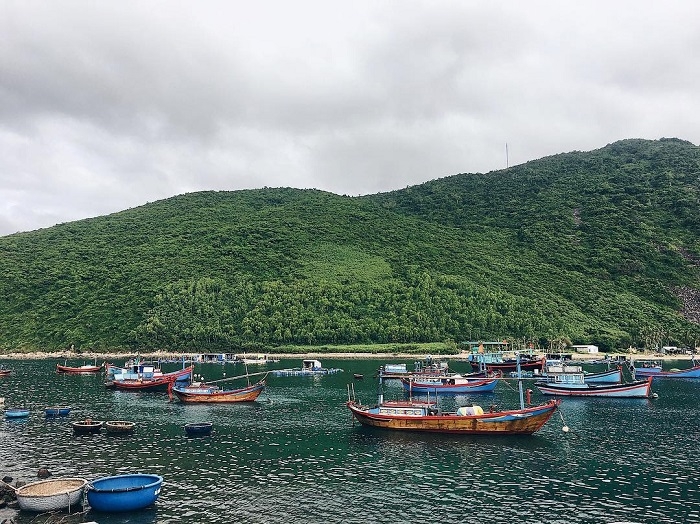 Những trải nghiệm thú vị không thể bỏ qua ở đảo Bích Đầm