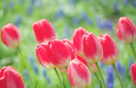 Tử vi ngày 14/7/2023: Tuổi Sửu bước tiến quan trọng, tuổi Dần đánh mất phong độ