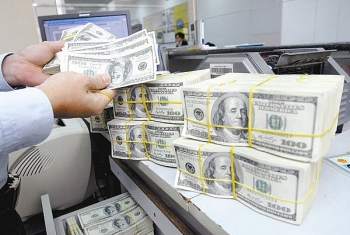 5 tháng đầu năm, Việt Nam đầu tư ra nước ngoài hơn 316 triệu USD