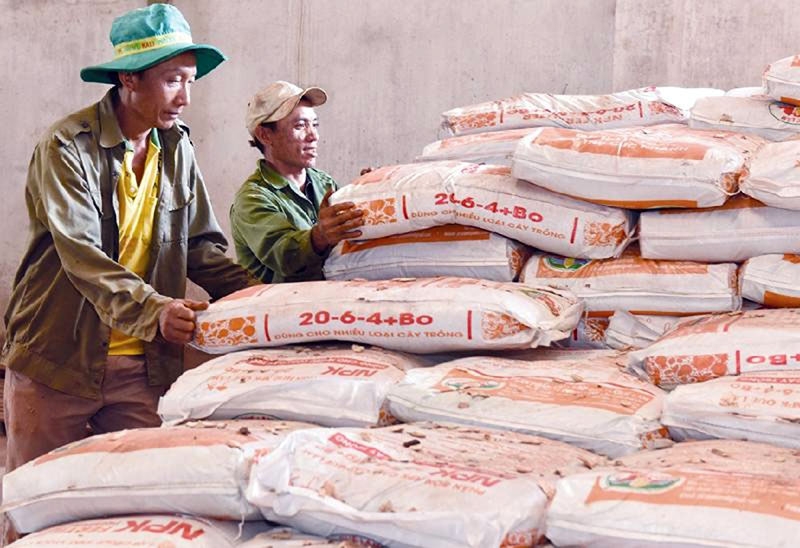 Giá phân bón hôm nay 3/6: DAP giảm theo xu hướng thế giới