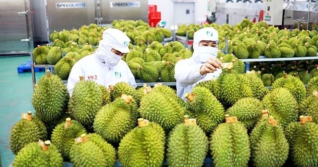 Xuất khẩu rau quả đạt mức kỷ lục