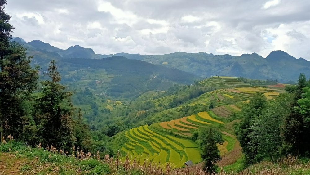 Khám phá cung đường thị trấn Bắc Hà - Bản Phố - Hoàng Thu Phố có gì thú vị