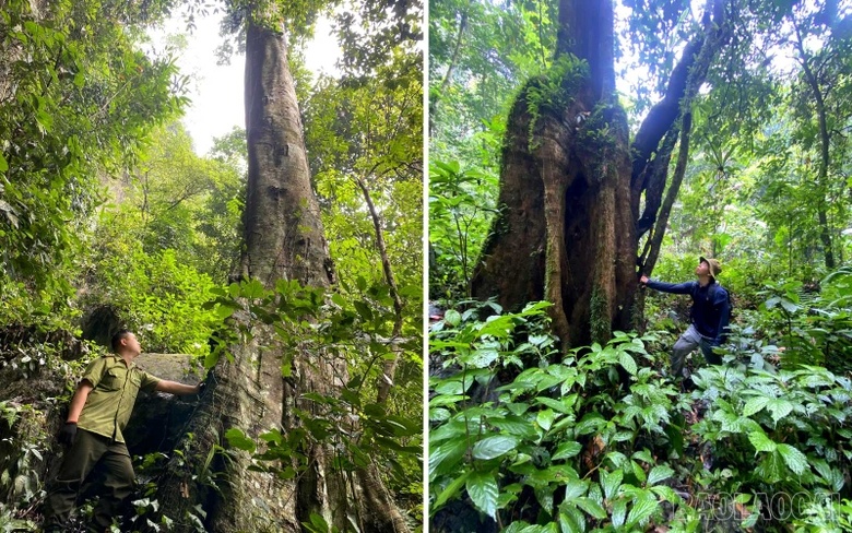 Khám phá động Thúm Thưa