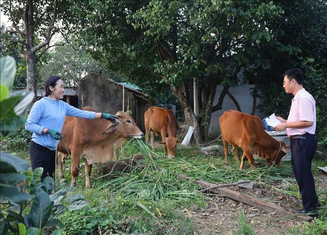 Tăng mức cho vay tối đa với hộ gia đình sản xuất, kinh doanh tại vùng khó khăn