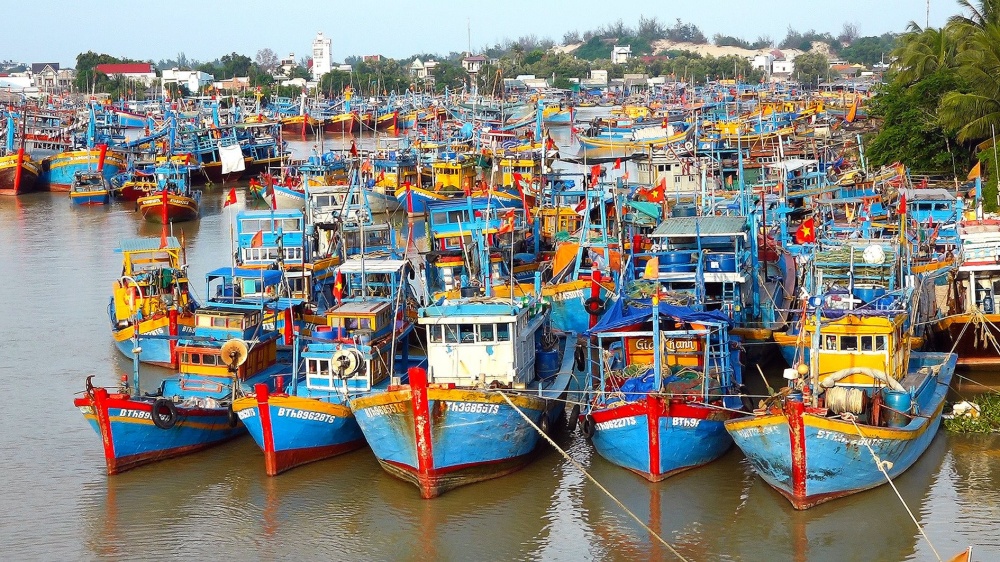 Quyết tâm gỡ “thẻ vàng” IUU vào tháng 10/2023
