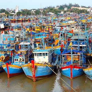 Quyết tâm gỡ “thẻ vàng” IUU vào tháng 10/2023