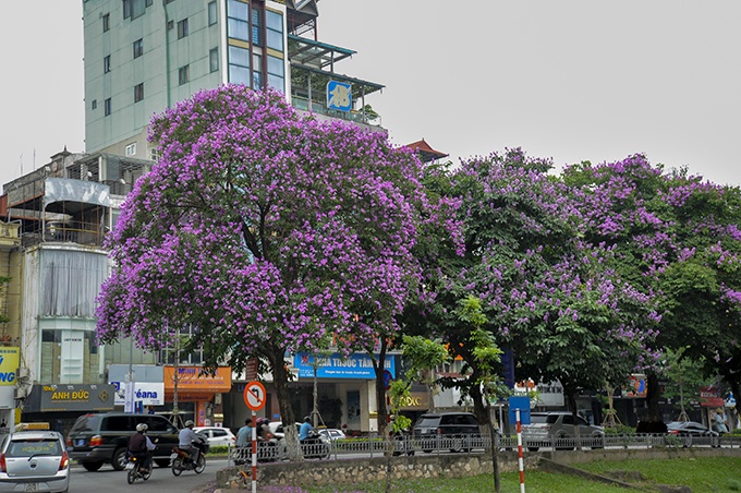 Thời tiết ngày 9/6/2023: Mưa dông diện rộng tiếp tục bao phủ Bắc Bộ