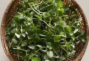 Rau càng cua - Món ngon miền Tây sông nước