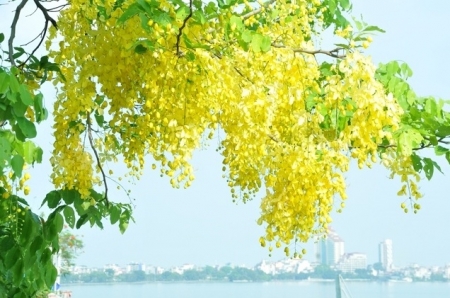 Tử vi ngày 14/6/2023 của 12 cung hoàng đạo: Sư Tử nhiệt tình, Ma Kết tự tạo áp lực