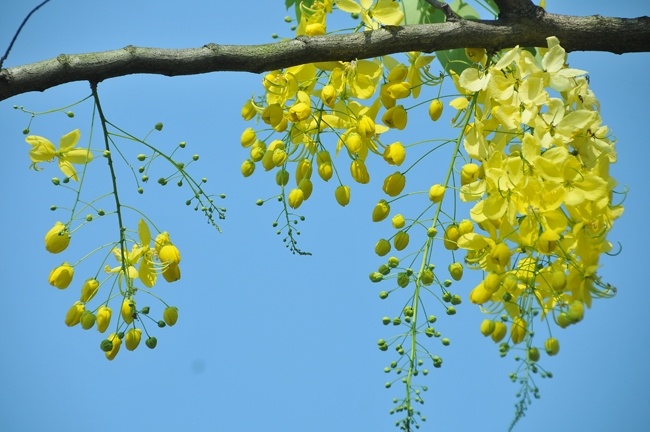 Tử vi ngày 14/6/2023 của 12 cung hoàng đạo: Sư Tử nhiệt tình, Ma Kết tự tạo áp lực Tử vi ngày 14/6/2023 của 12 cung hoàng đạo: Sư Tử nhiệt tình, Ma Kết tự tạo áp lực