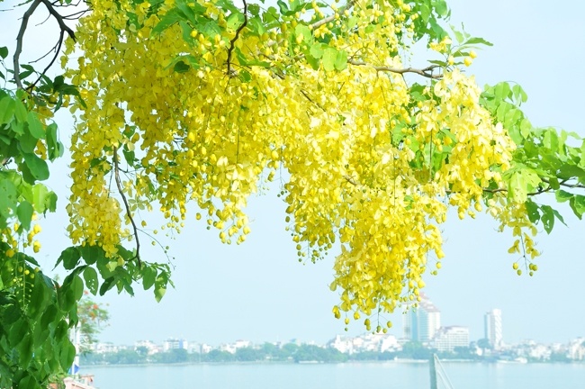 Tử vi ngày 14/6/2023 của 12 cung hoàng đạo: Sư Tử nhiệt tình, Ma Kết tự tạo áp lực Tử vi ngày 14/6/2023 của 12 cung hoàng đạo: Sư Tử nhiệt tình, Ma Kết tự tạo áp lực