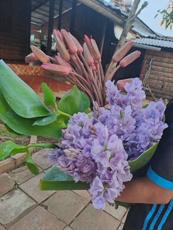 Hương tình Vĩnh Long