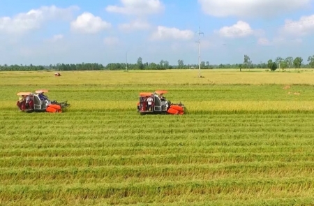 Chấp thuận chuyển mục đích sử dụng đất tại tỉnh Long An