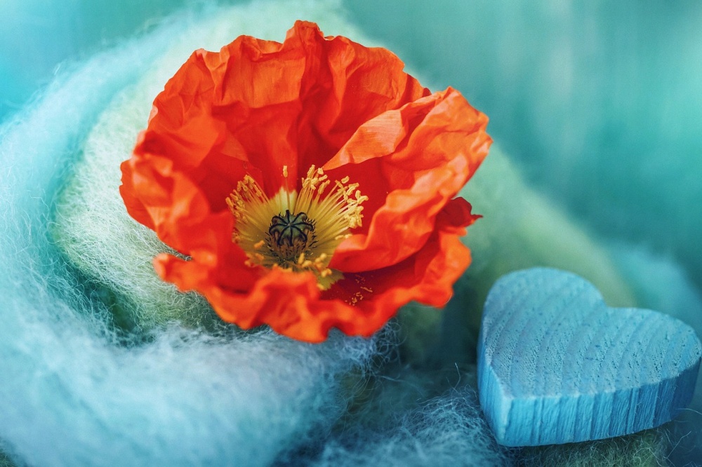 Tử vi ngày 16/6/2023 của 12 cung hoàng đạo: Kim Ngưu may mắn, Bọ Cạp nóng tính Tử vi ngày 16/6/2023 của 12 cung hoàng đạo: Kim Ngưu may mắn, Bọ Cạp nóng tính