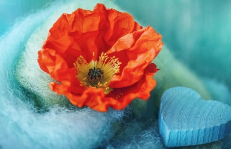 Tử vi ngày 16/6/2023 của 12 cung hoàng đạo: Kim Ngưu may mắn, Bọ Cạp nóng tính