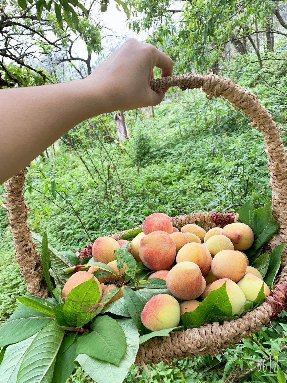 Sa Pa - Thiên đường nghỉ dưỡng mùa hè