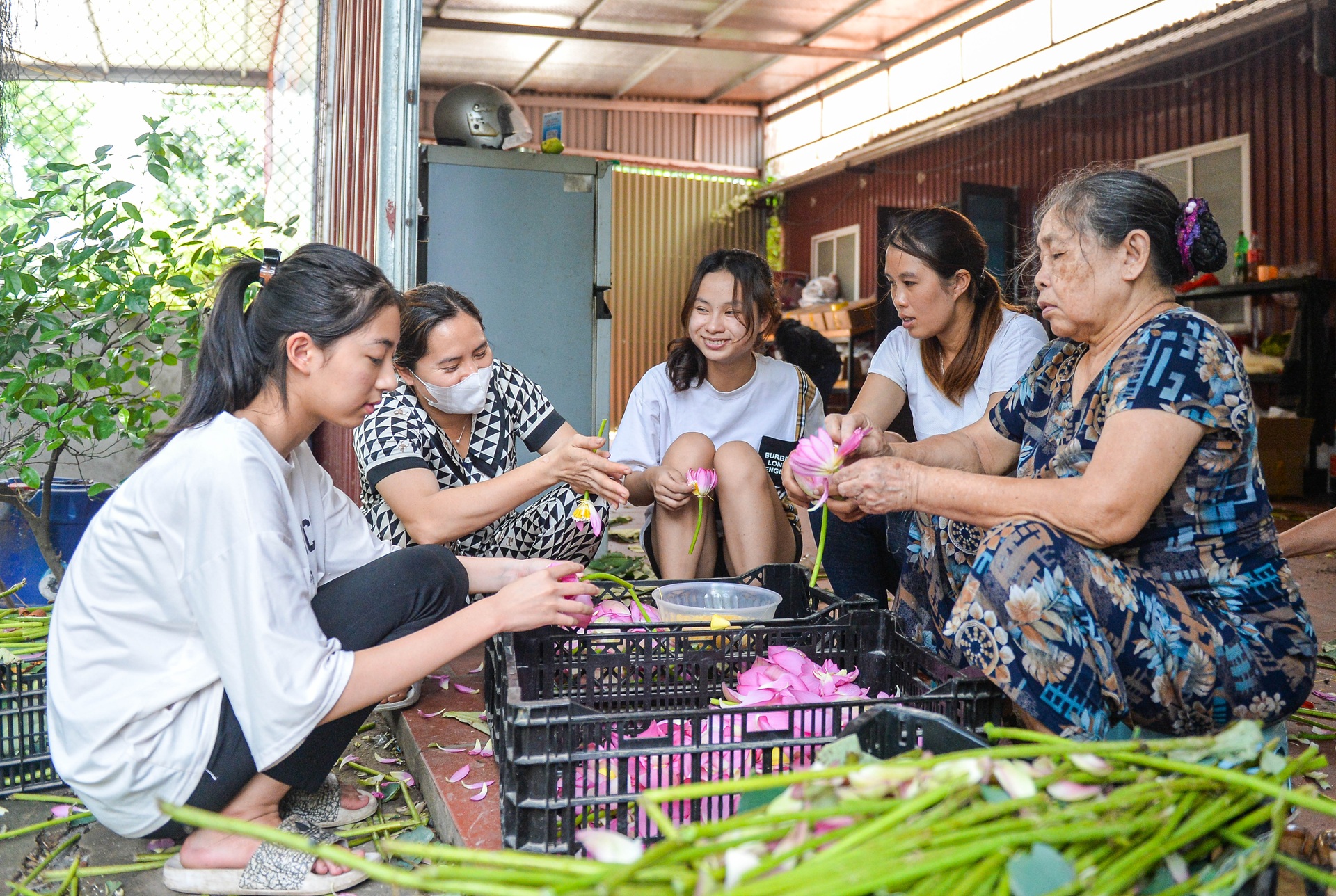 Biến đồng hoang thành đầm sen triệu bông, anh nông dân kiếm tiền tỷ - 7