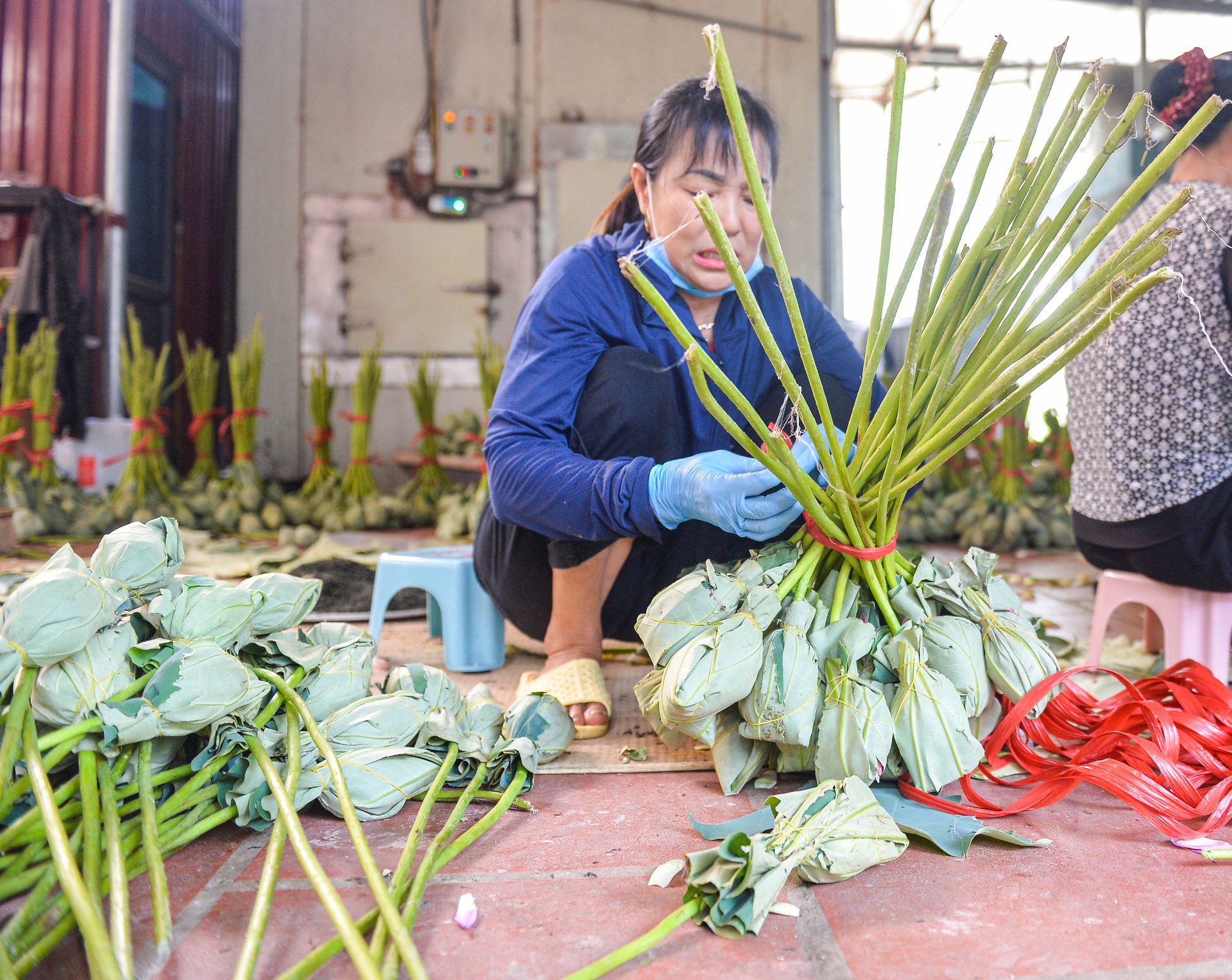 Biến đồng hoang thành đầm sen triệu bông, anh nông dân kiếm tiền tỷ - 10