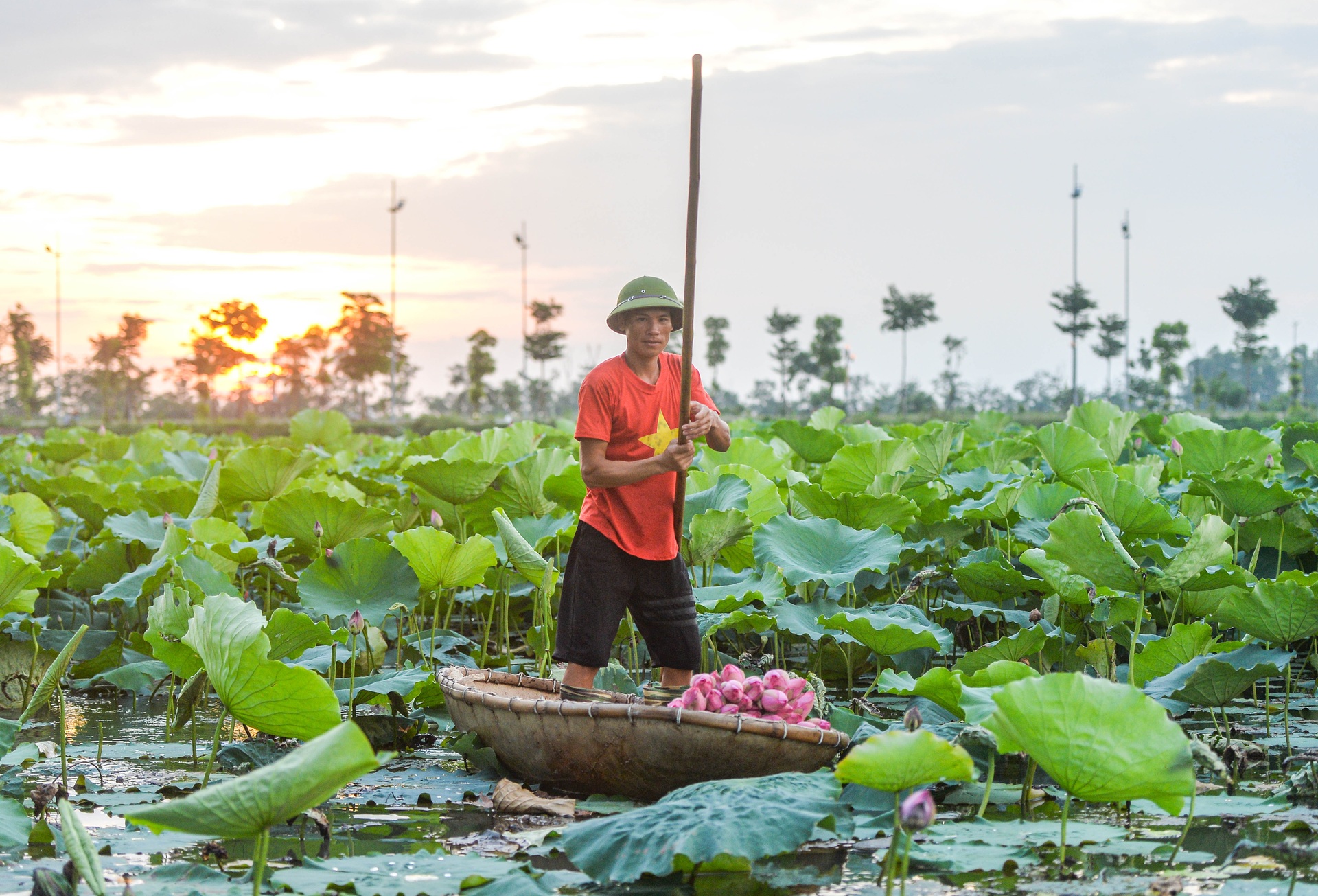 Biến đồng hoang thành đầm sen triệu bông, anh nông dân kiếm tiền tỷ - 3
