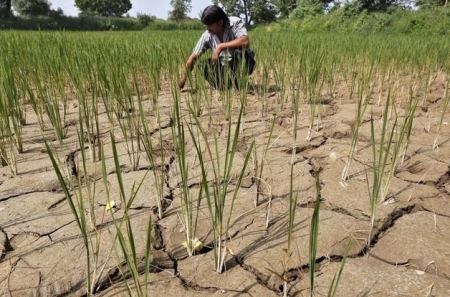 Hiện tượng El Nino đã xuất hiện: Hậu quả gì phía trước?