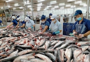 Giải pháp nào cho doanh nghiệp thủy sản chắc chân hơn ở thị trường nội địa?
