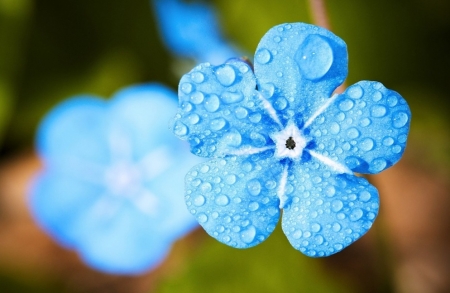 Tử vi ngày 20/6/2023: Tuổi Thìn may mắn kề bên, tuổi Tỵ nhận tin tốt lành