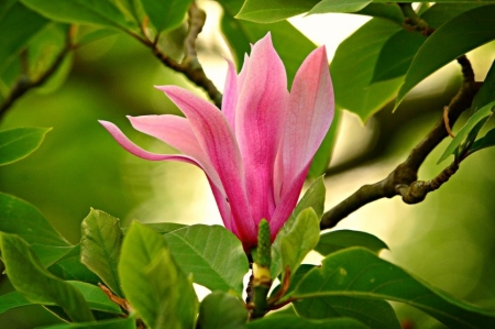 Tử vi ngày 21/6/2023 của 12 cung hoàng đạo: Sư Tử tự tin thái quá, Bọ Cạp dễ nóng giận