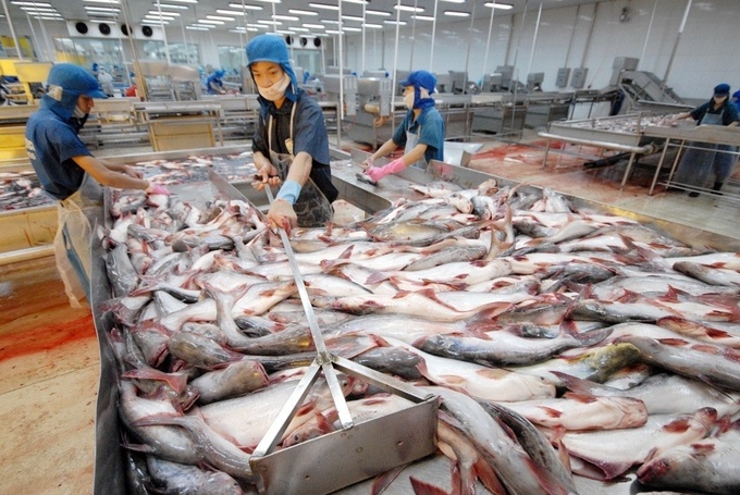 VASEP kiến nghị giãn nợ 4 - 6 tháng cho doanh nghiệp thủy sản