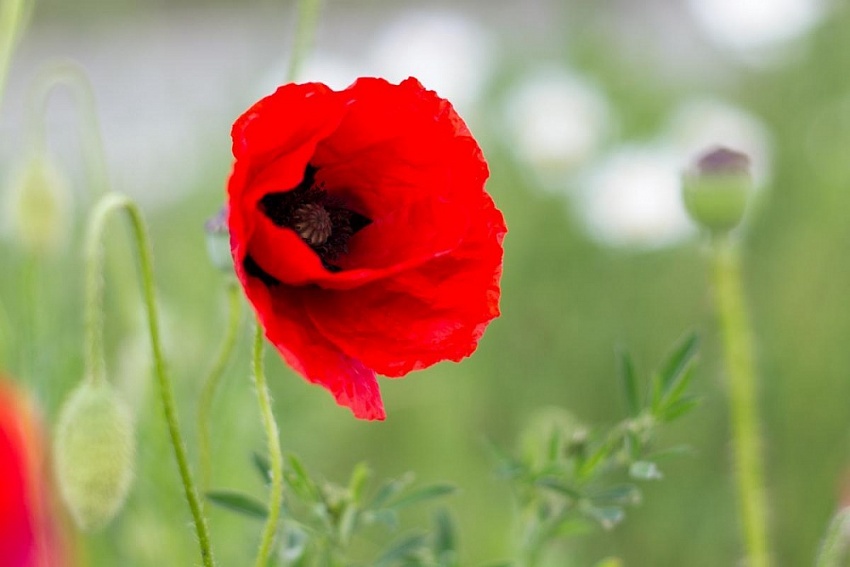 Tử vi ngày 22/6/2023: Tuổi Sửu bước tiến rõ rệt, tuổi Dần nhiều điều bất trắc Tử vi ngày 22/6/2023: Tuổi Sửu bước tiến rõ rệt, tuổi Dần nhiều điều bất trắc