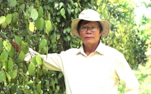 Gặt hái 