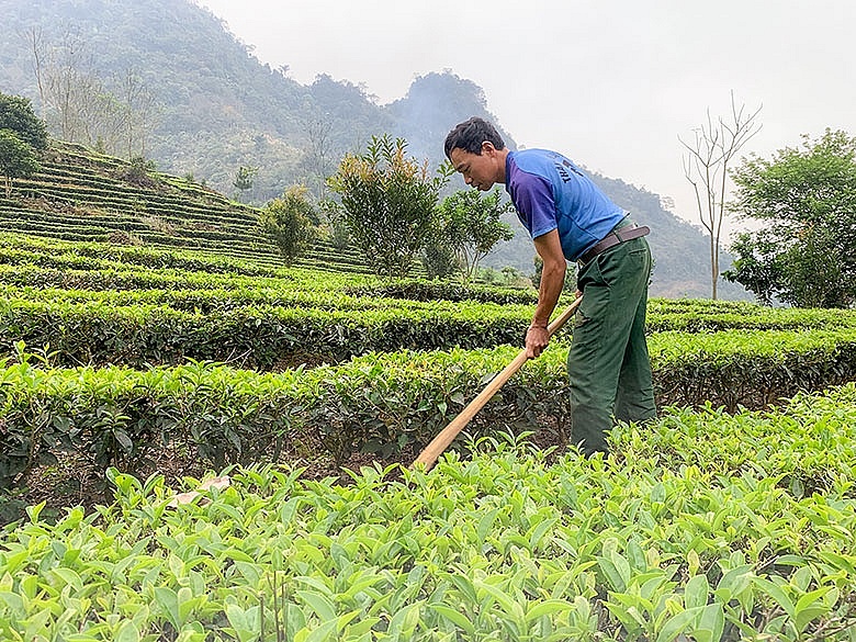 Giá phân bón hôm nay 24/6: Giao dịch chưa được cải thiện