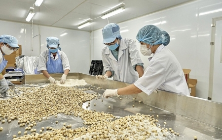 Tín dụng ưu đãi hỗ trợ doanh nghiệp phục hồi sản xuất