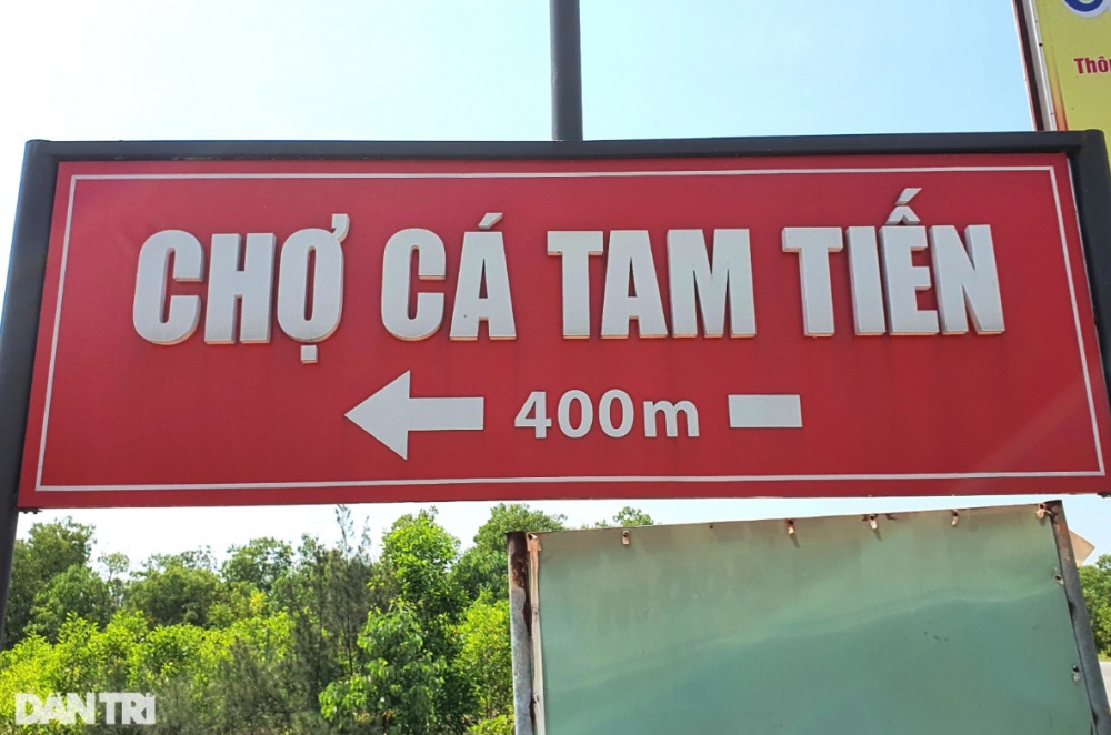 Hình ảnh chợ cá trên bãi biển lớn nhất miền Trung